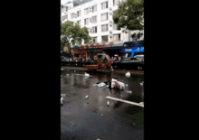 中山车祸最新爆料视频,现场惊心动魄，细节曝光引关注